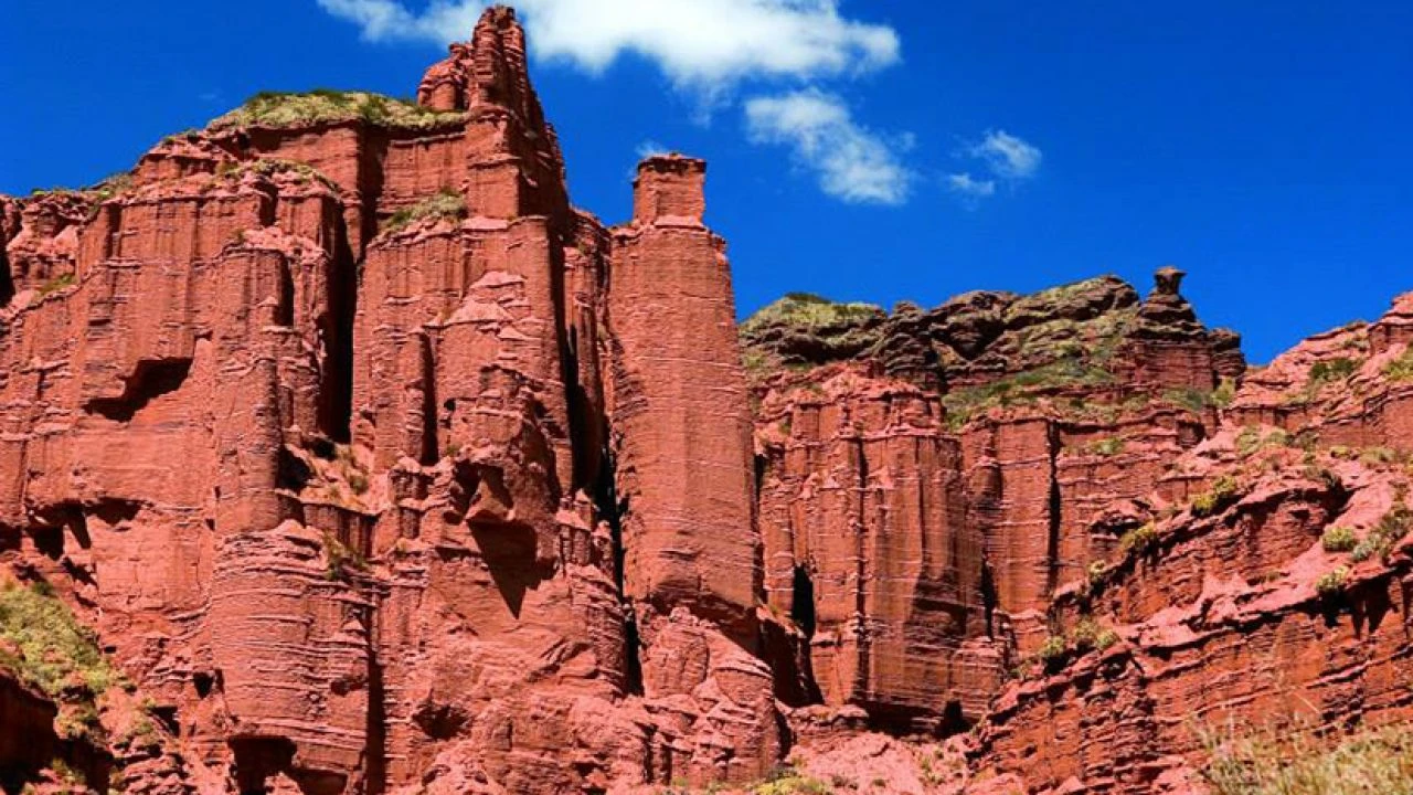 thumb_18756_cactus_product_tours_by_locals_large.jpeg thumb_18756_cactus_product_tours_by_locals_large.jpeg